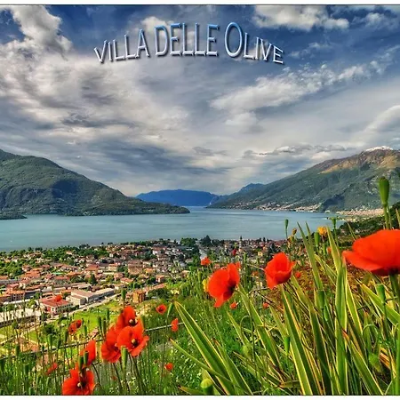 Delle Olive * Vercana