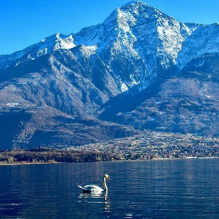 Διαμέρισμα Delle Olive Vercana