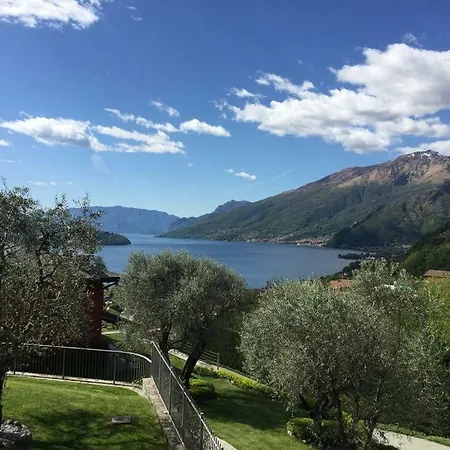 Delle Olive Vercana