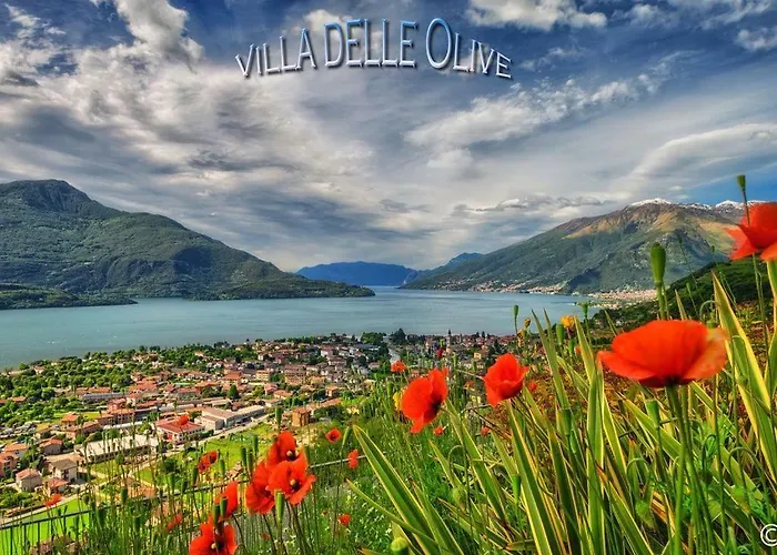 Delle Olive * Vercana