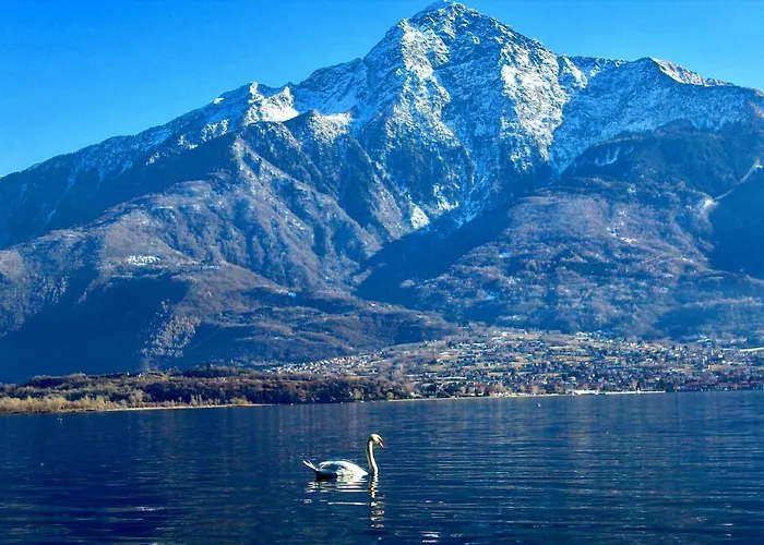 דירה Delle Olive Vercana