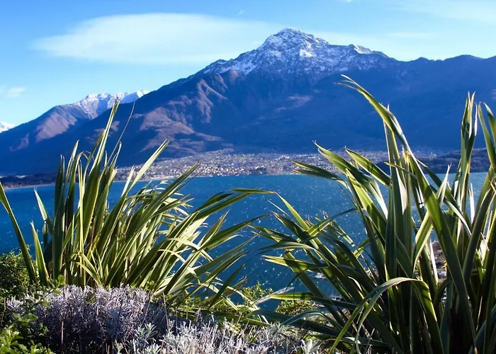 Appartamento Delle Olive *