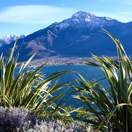 Appartement Delle Olive *